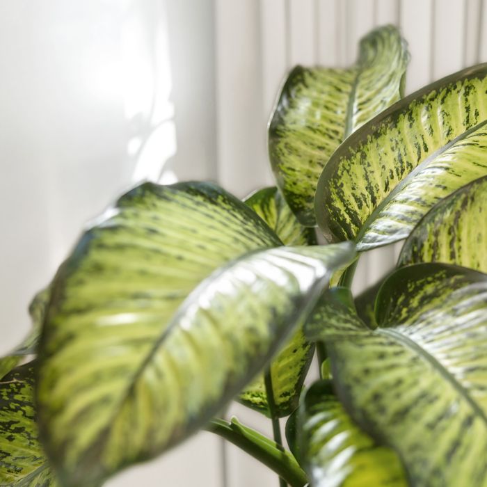 New notice periods for contracts for work and services and property purchases